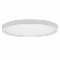 LED Flush Mount